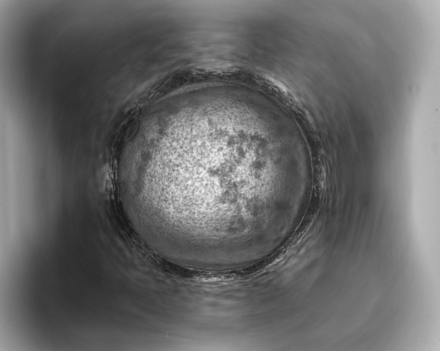 X0000096951397200802221313