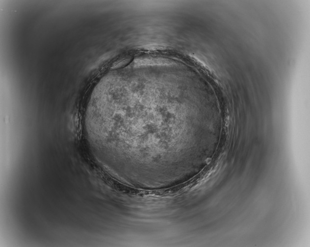 X0000096951398200802221313
