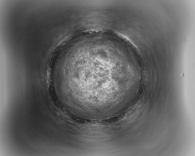 X0000096951399200802221313