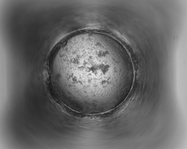X0000096951400200802221313