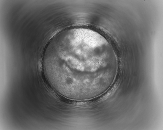 X0000096951401200802221313
