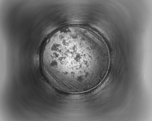 X0000096951402200802221313