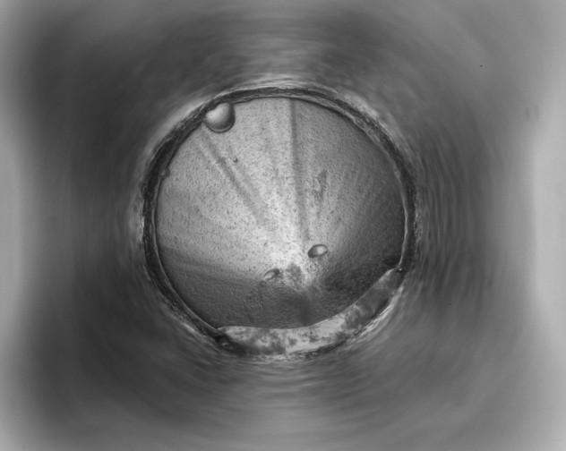 X0000096951406200802221313
