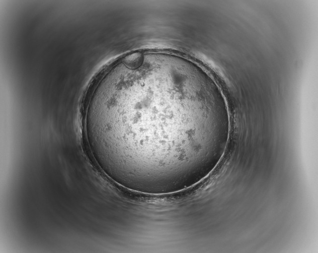 X0000096951408200802221313