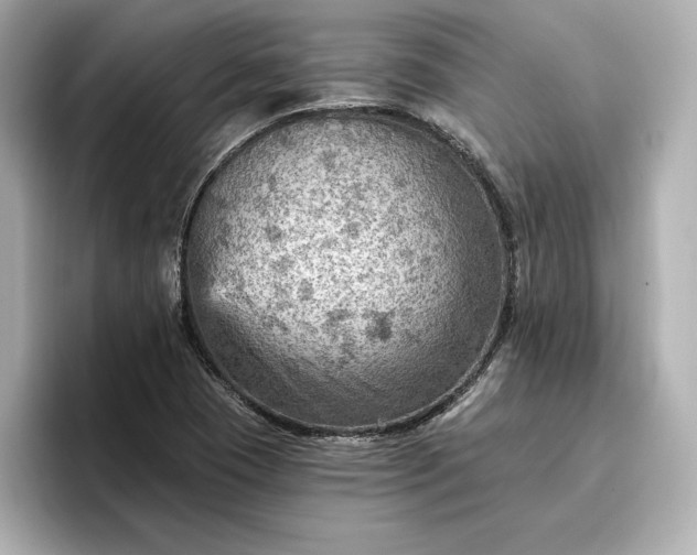 X0000096951409200802221313