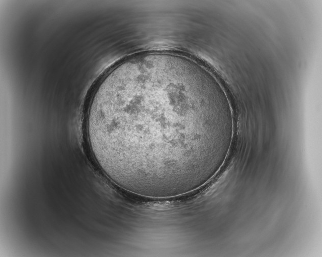 X0000096951410200802221313