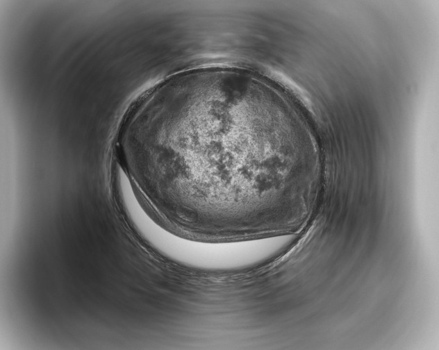 X0000096951411200802221313