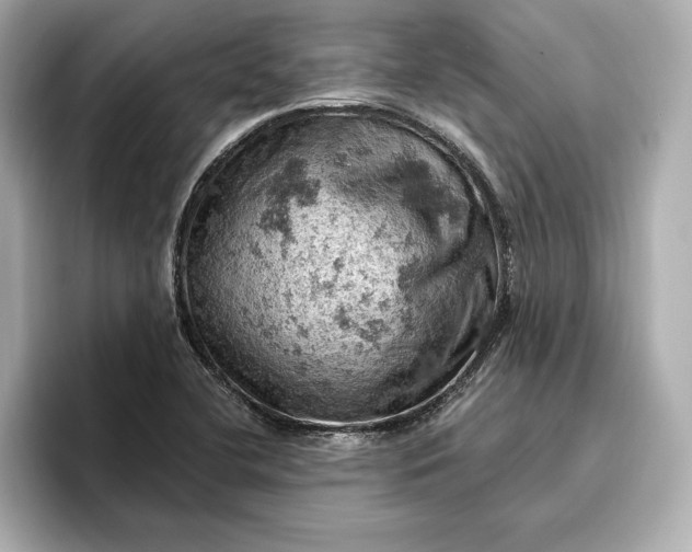 X0000096951412200802221313
