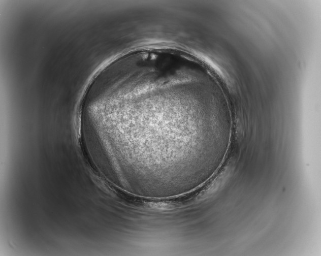 X0000096951413200802221313