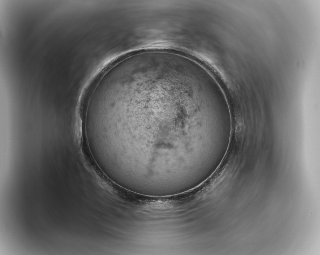 X0000096951414200802221313