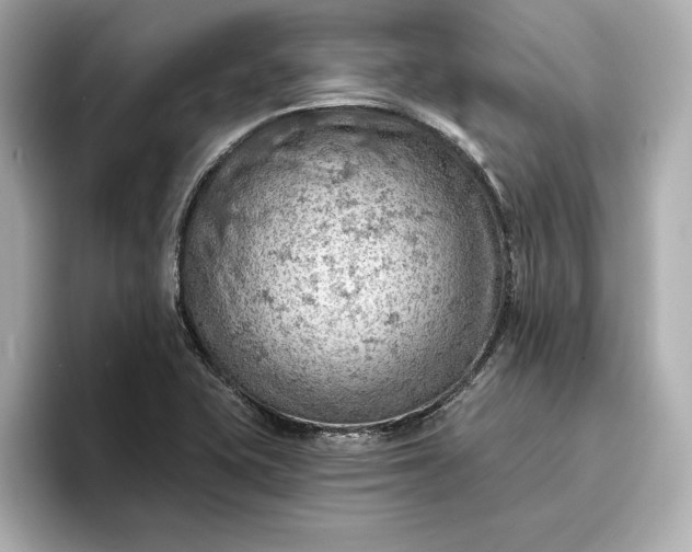 X0000096951415200802221313