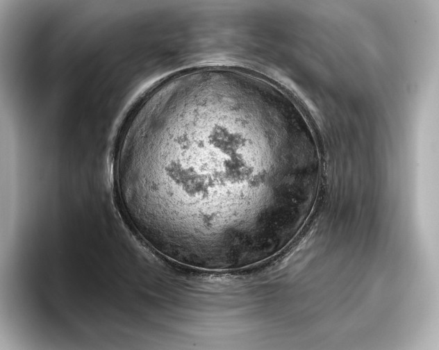 X0000096951416200802221313