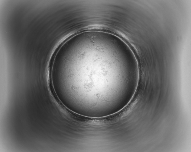 X0000096951418200802221313