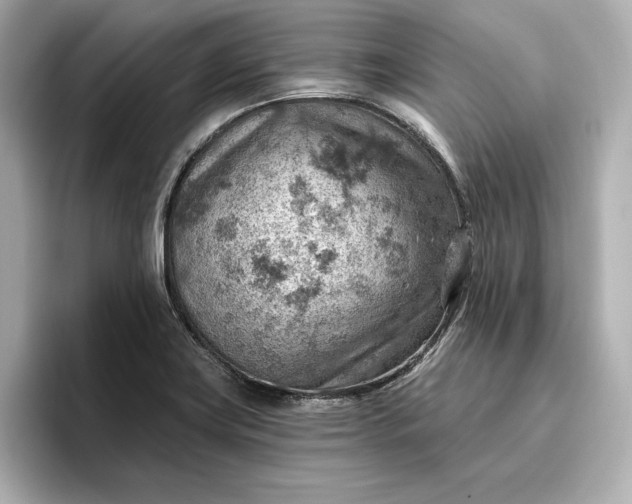 X0000096951419200802221313