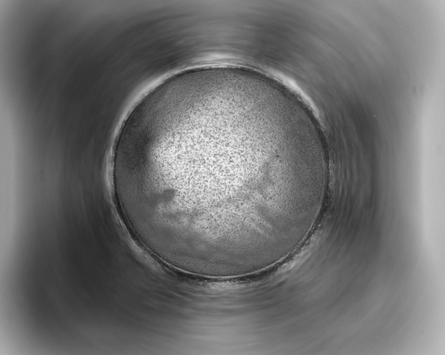 X0000096951421200802221313
