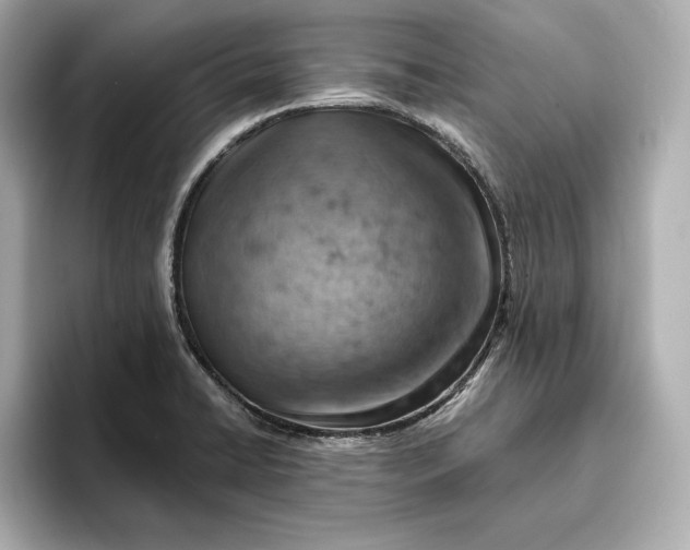 X0000096951422200802221313