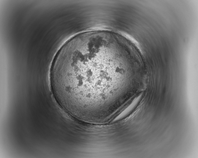 X0000096951423200802221313