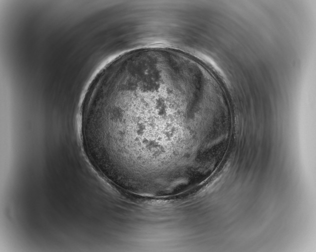 X0000096951424200802221313