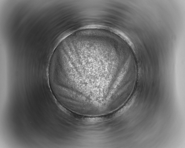 X0000096951425200802221313