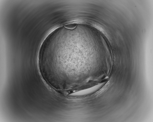 X0000096951426200802221313
