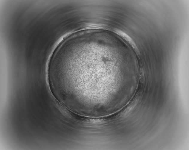 X0000096951427200802221313