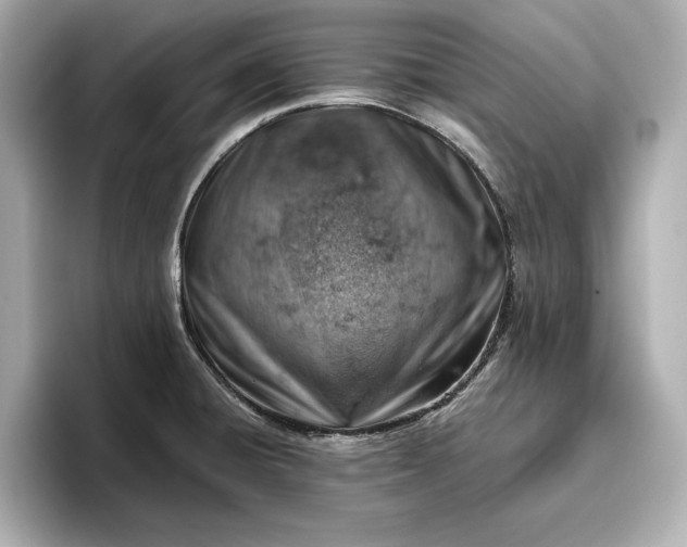 X0000096951428200802221313