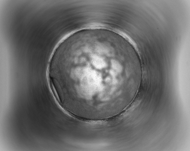 X0000096951429200802221313