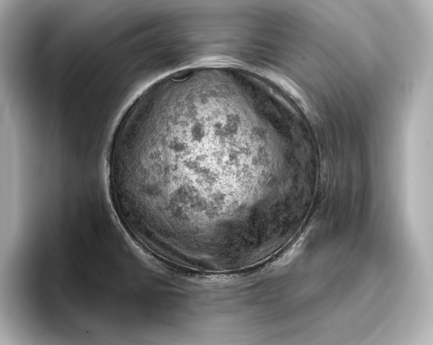 X0000096951430200802221313