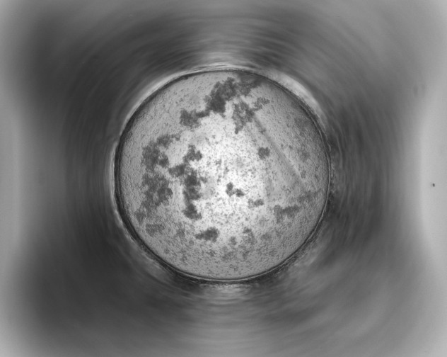 X0000096951431200802221313