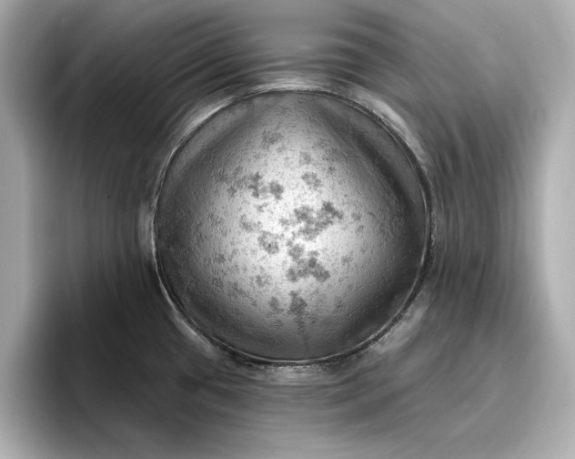 X0000096951433200802221313