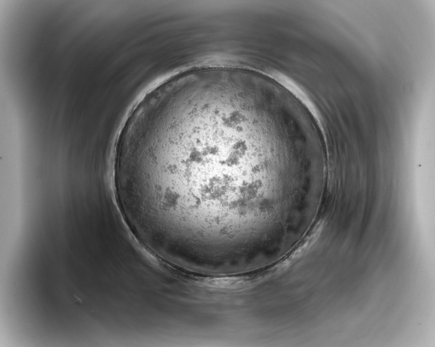 X0000096951437200802221313
