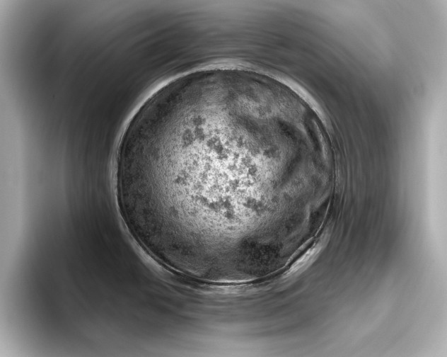X0000096951438200802221313