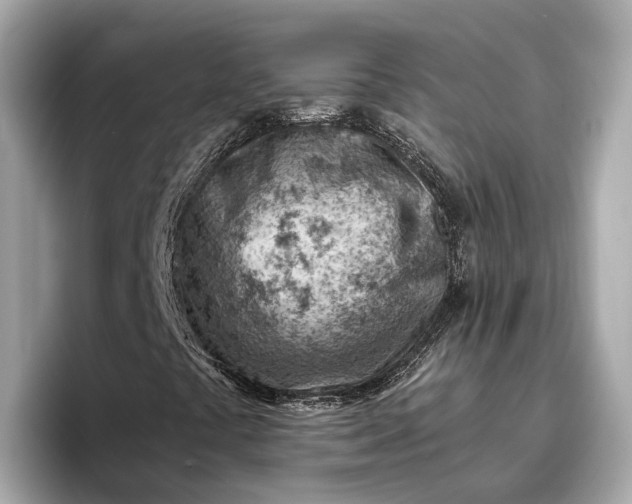 X0000096951441200802221313