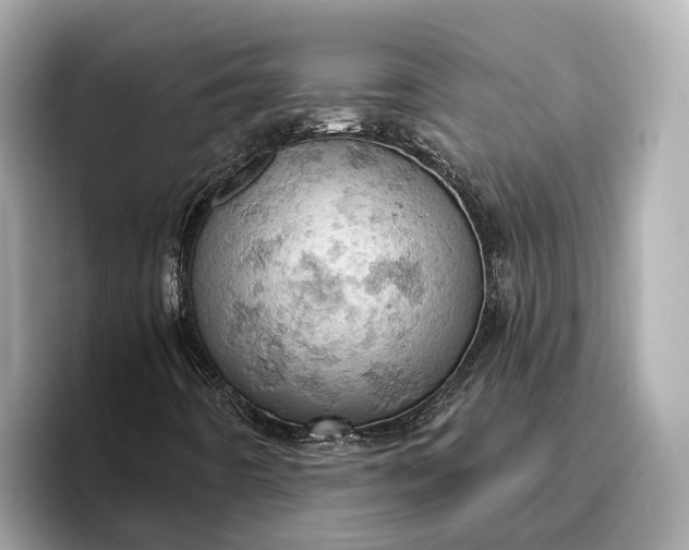 X0000096951442200802221313