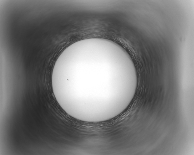 X0000096951444200802221312