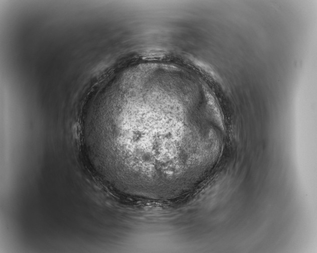 X0000096951445200802221312