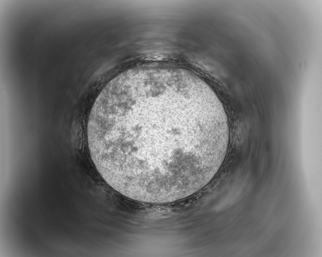 X0000096951446200802221312