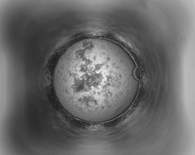 X0000096951447200802221312