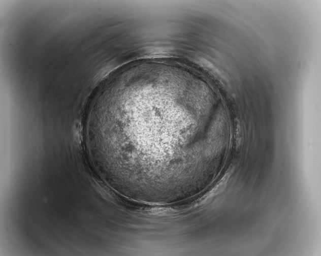 X0000096951449200802221312