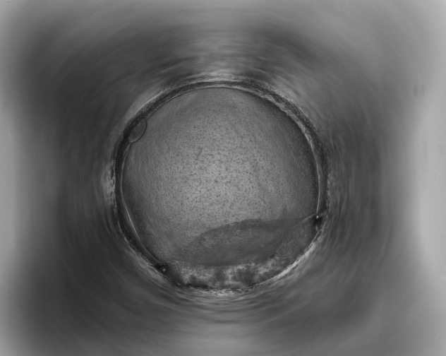 X0000096951450200802221312