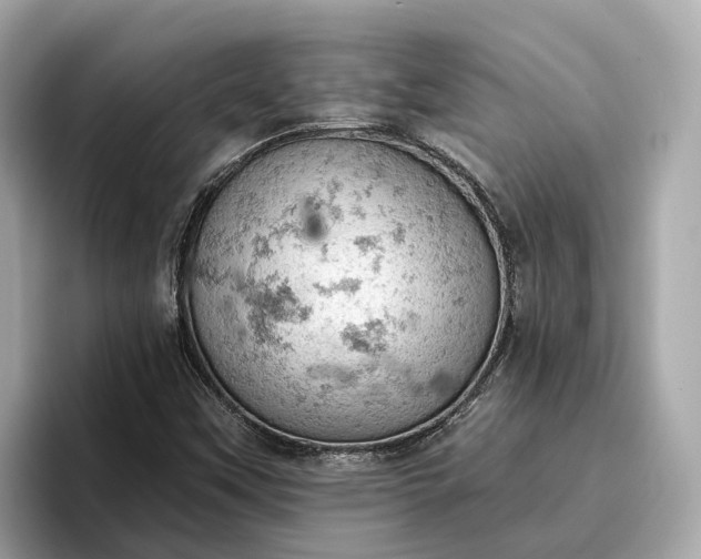 X0000096951451200802221312