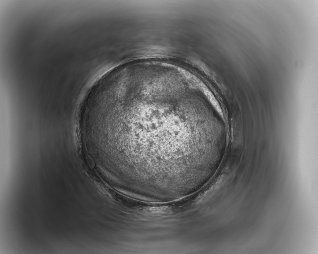 X0000096951453200802221312