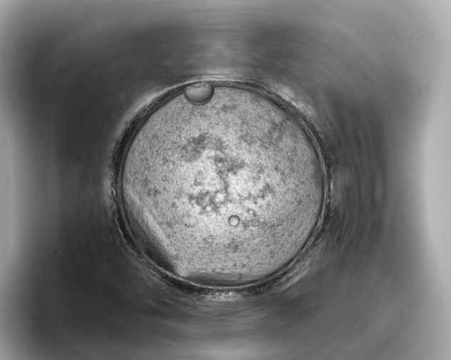 X0000096951454200802221312