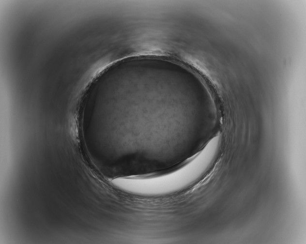 X0000096951455200802221312