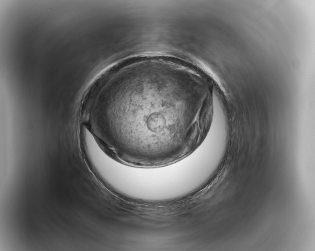 X0000096951456200802221312