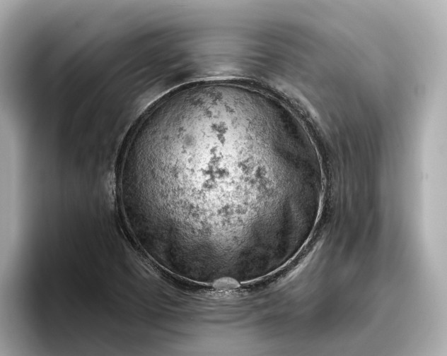 X0000096951457200802221312