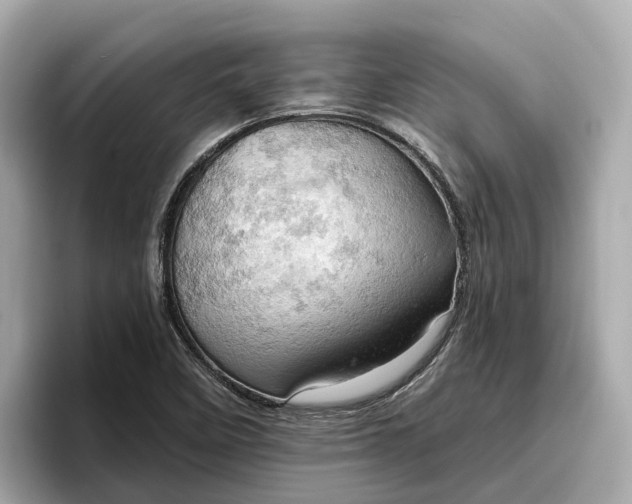 X0000096951458200802221312