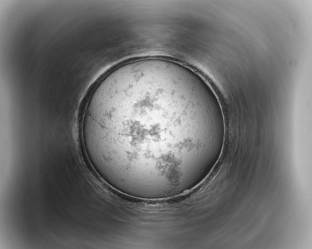 X0000096951460200802221312