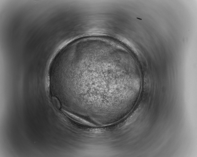 X0000096951461200802221312