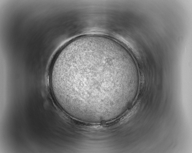 X0000096951462200802221312